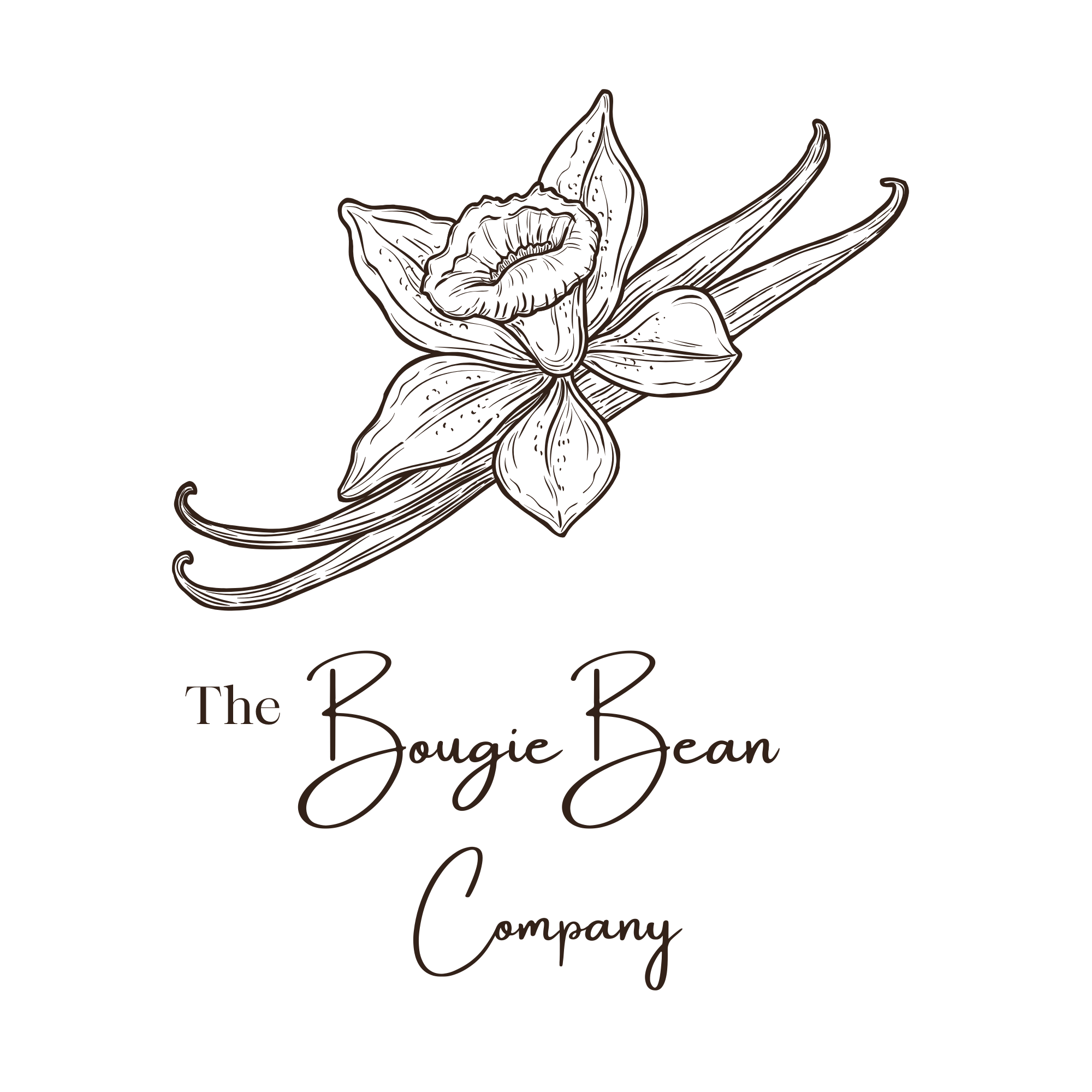 BougieBean